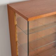 Vitrine B par Dieter Waeckerlin pour Behr, années 1950