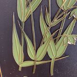 4 vintage flower plates