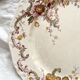 6 polychrome ironstone dinner plates "Wentworth" by Emile Bourgeois