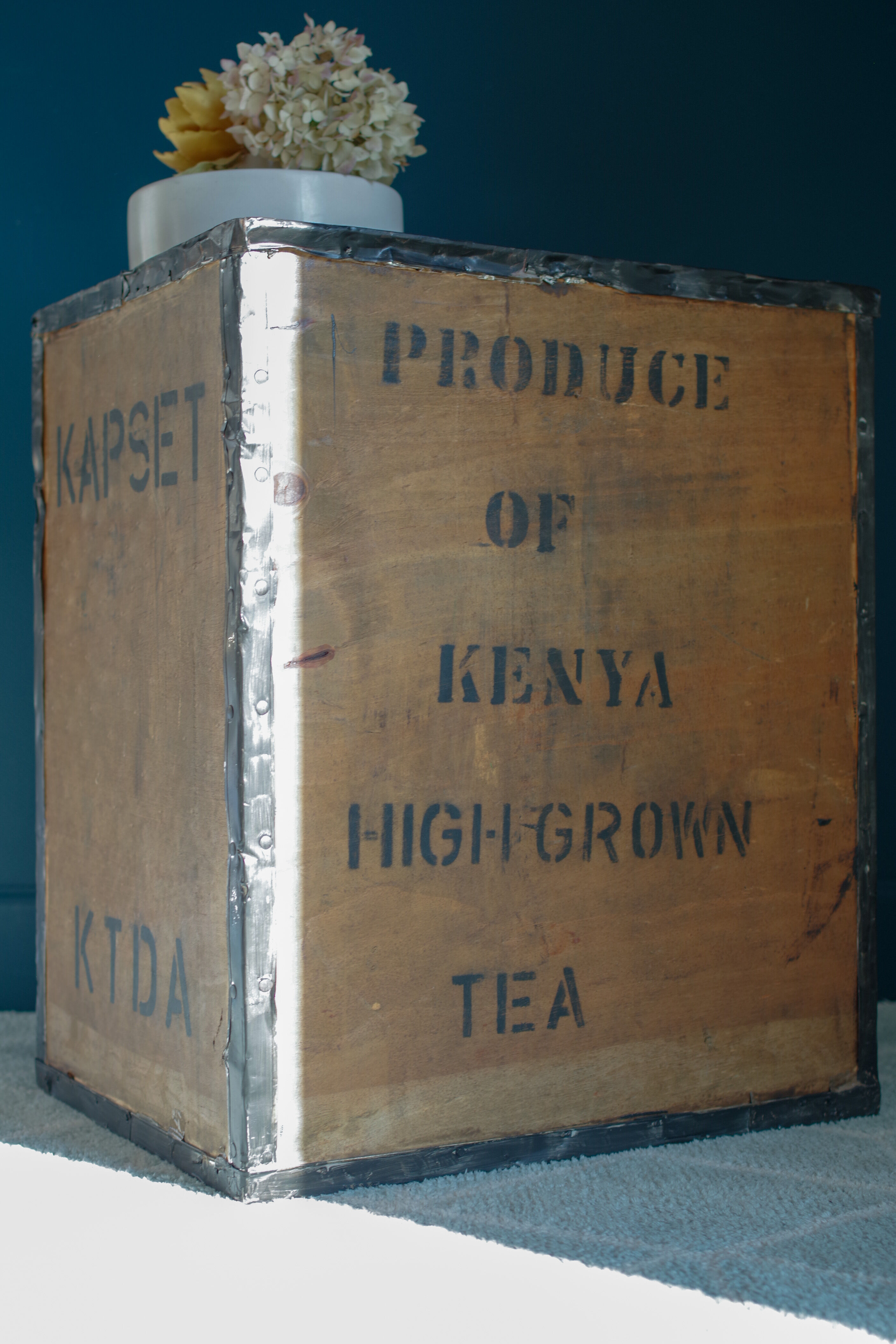 Vintage transport case