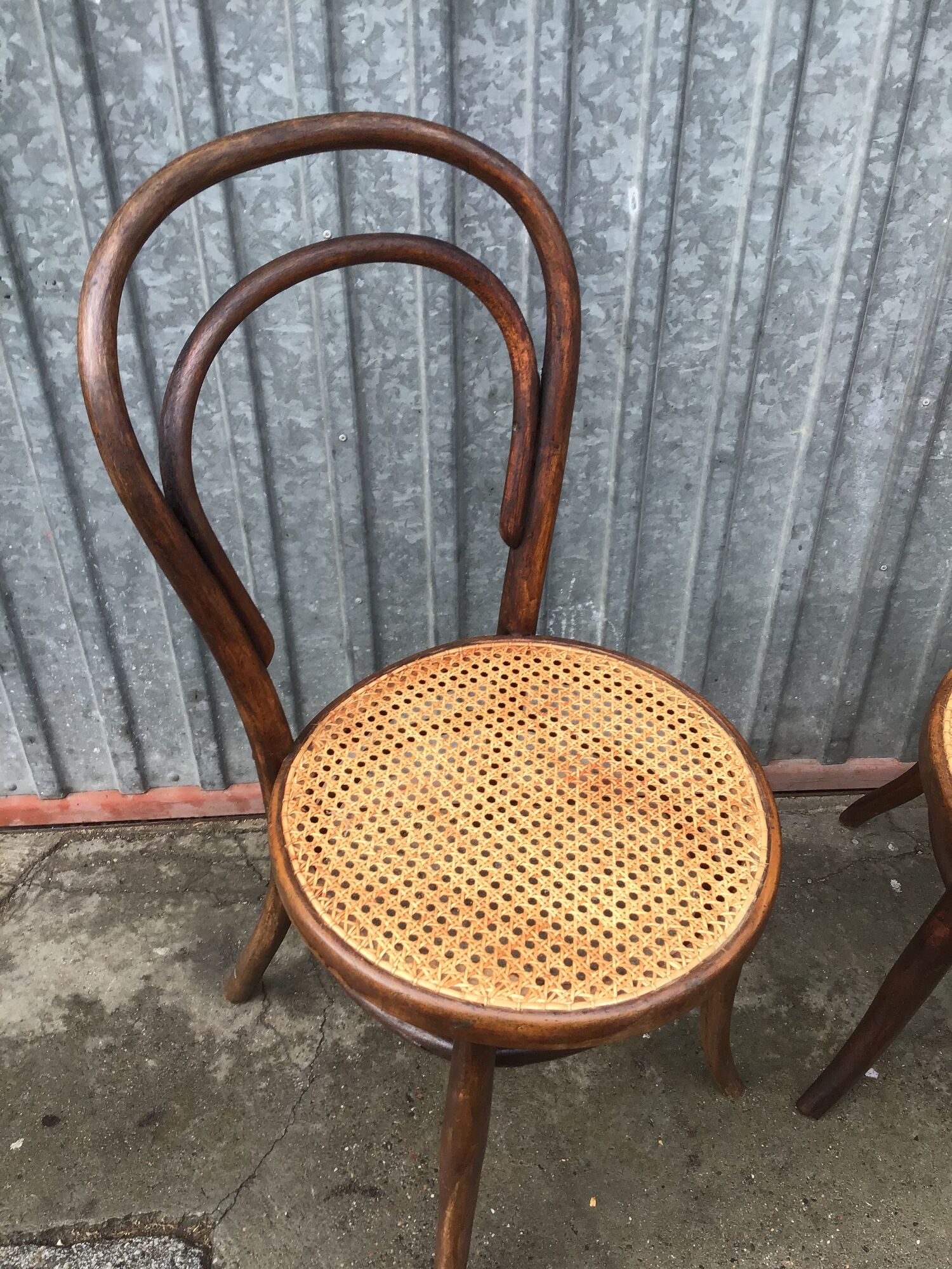 Pair of chairs curved wood tuna and Nr 14