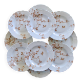 Antique Limoges porcelain plates by Charles Haviland, bird decoration