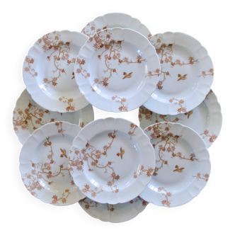 Antique Limoges porcelain plates by Charles Haviland, bird decoration