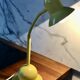Belgian flexible lamp