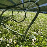 Garden bench
