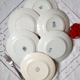 Old flat plates mismatched in iron earth accompanied by a serving dish