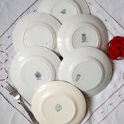 Old flat plates mismatched in iron earth accompanied by a serving dish