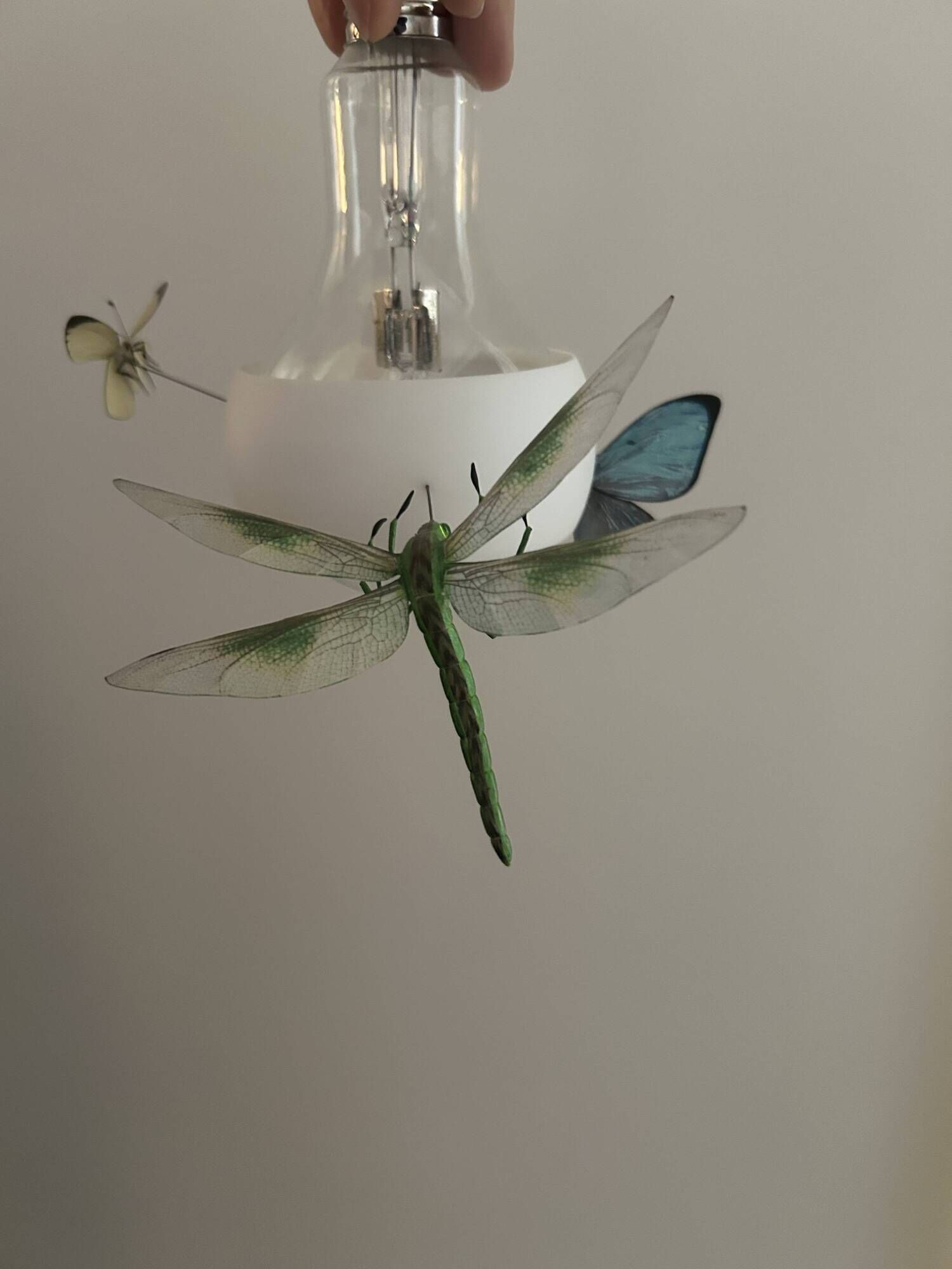 Set of 2 Johnny B. Butterfly pendants by Ingo Maurer