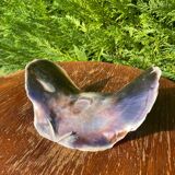 Large seashell: Placuna