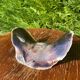 Large seashell: Placuna