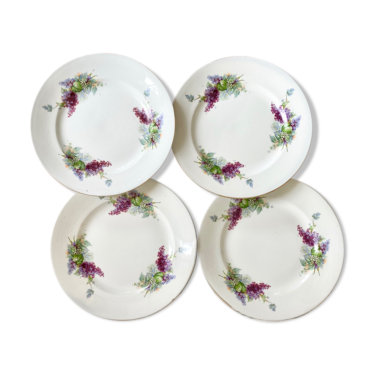 4 plates Iron Earth with gold-edged flowers
