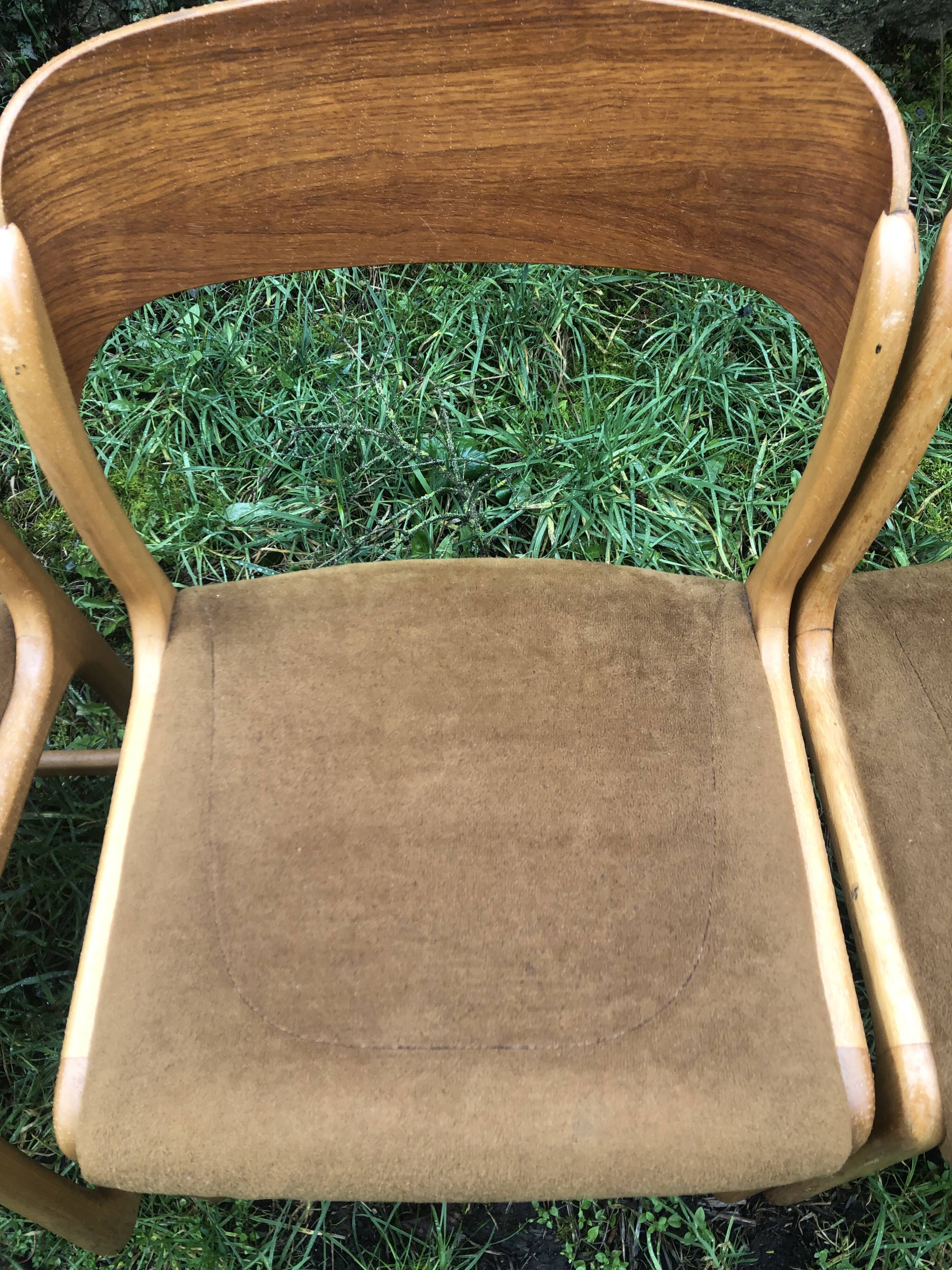 Set of 6 Baumann sleigh foot chairs 60s