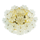 Mid-Century Floral Murano Glass Flush Mount by Ernst Palme for Palwa, Germany, 1960s