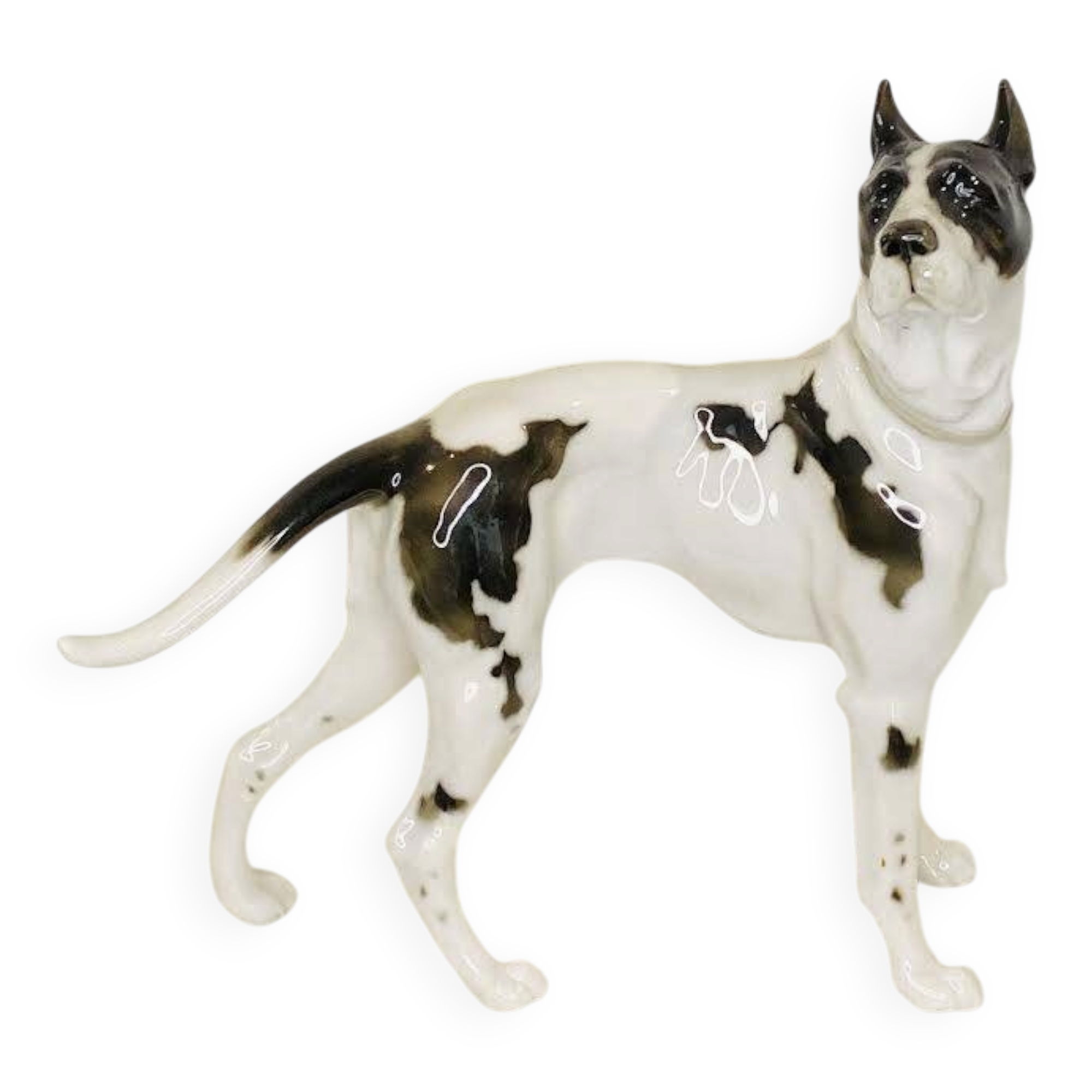 Great Dane