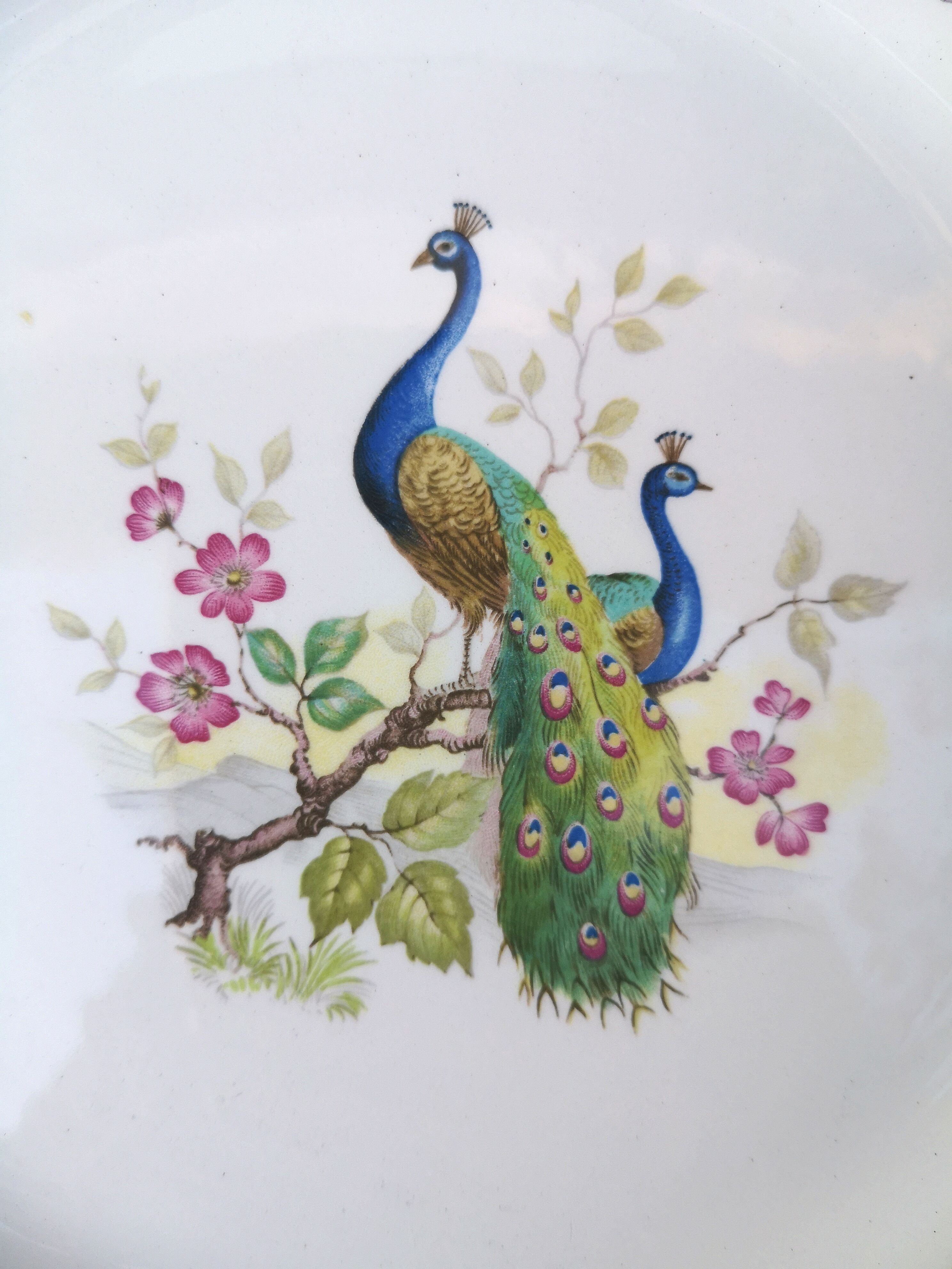 Cake dish model "Peacocks"