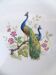 Cake dish model "Peacocks"