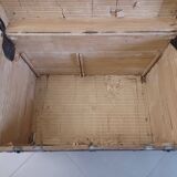 Travel trunk