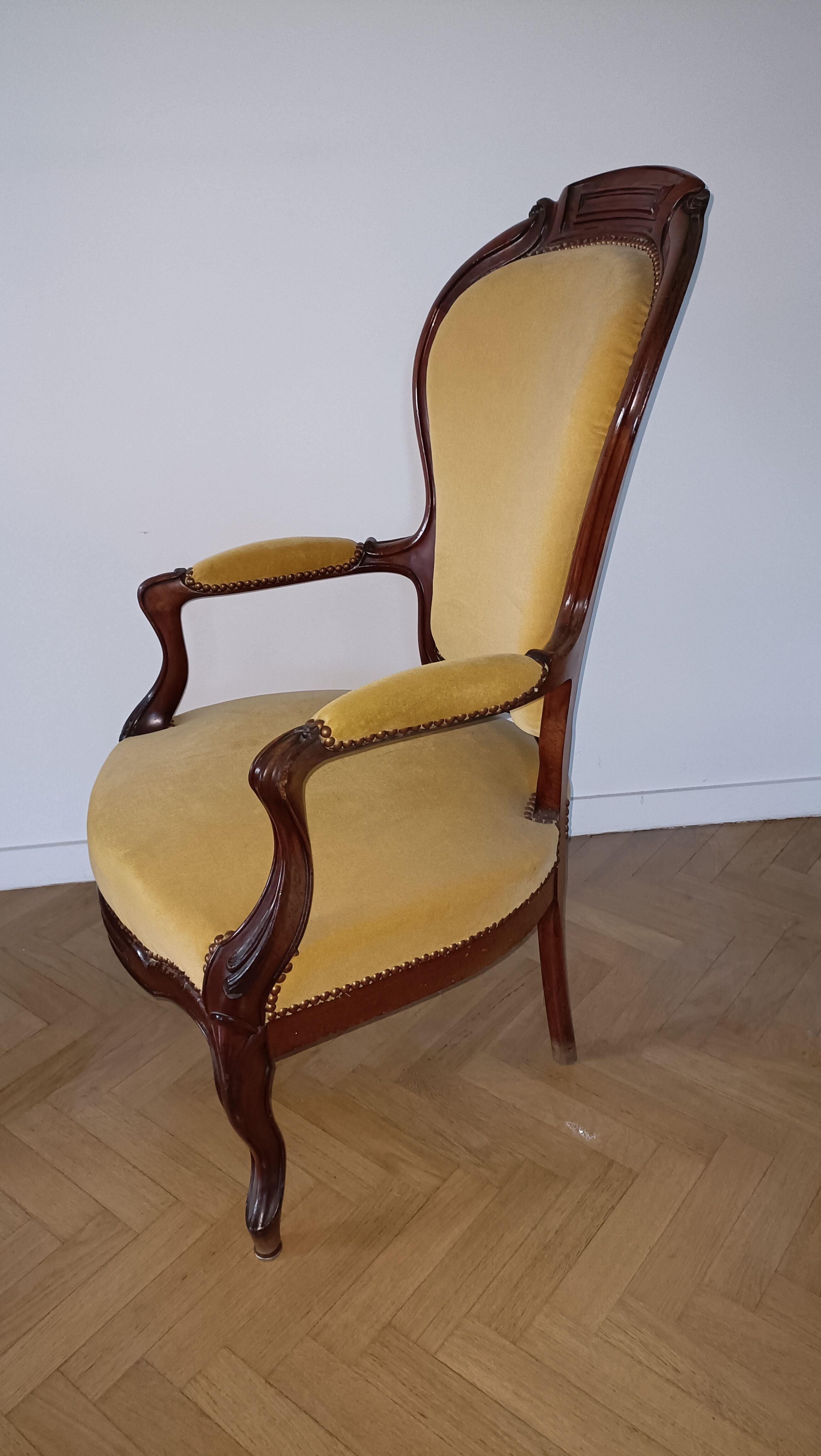 Napoleon III Armchair, 19th