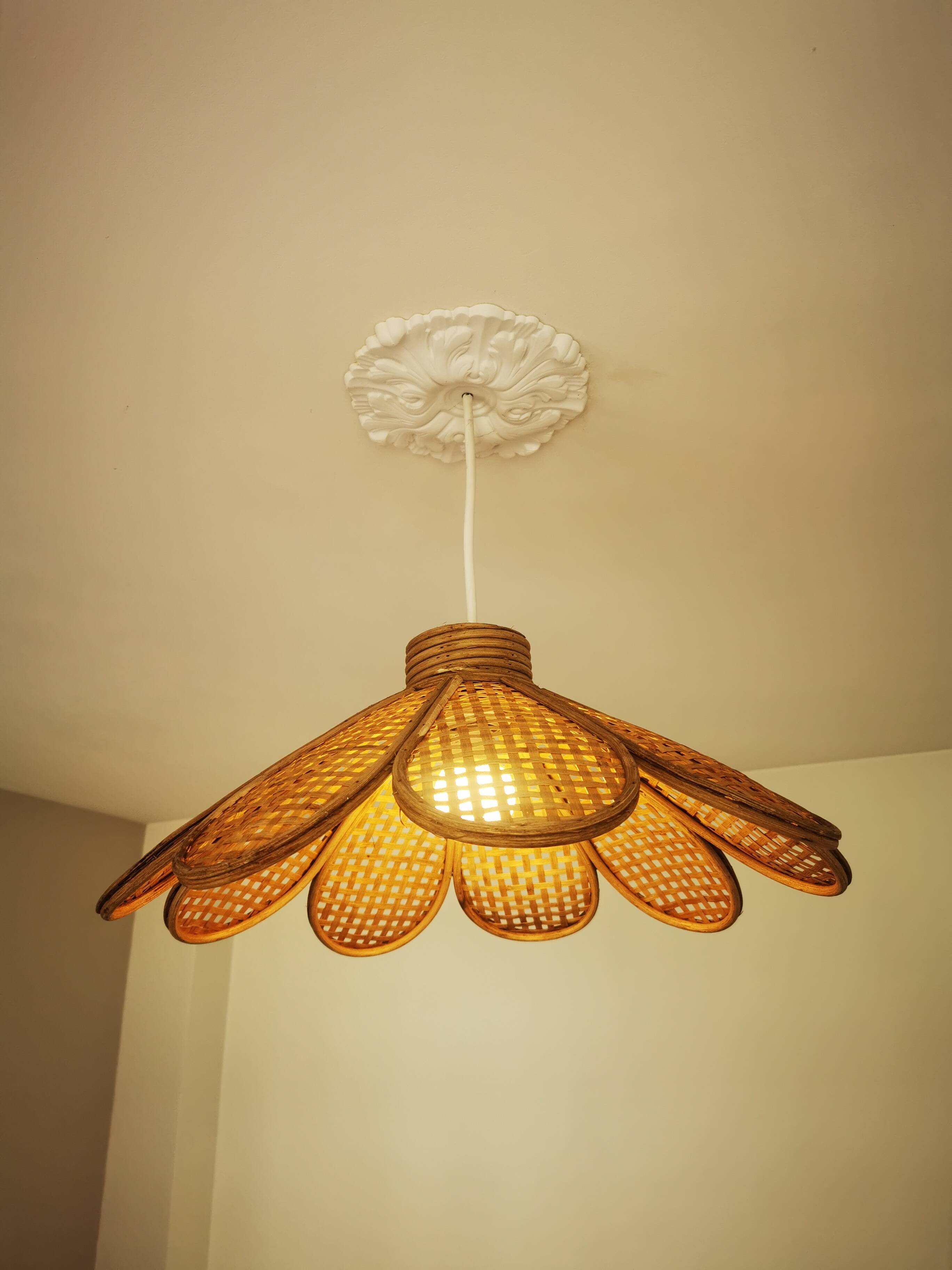 Bamboo rattan suspension and canning