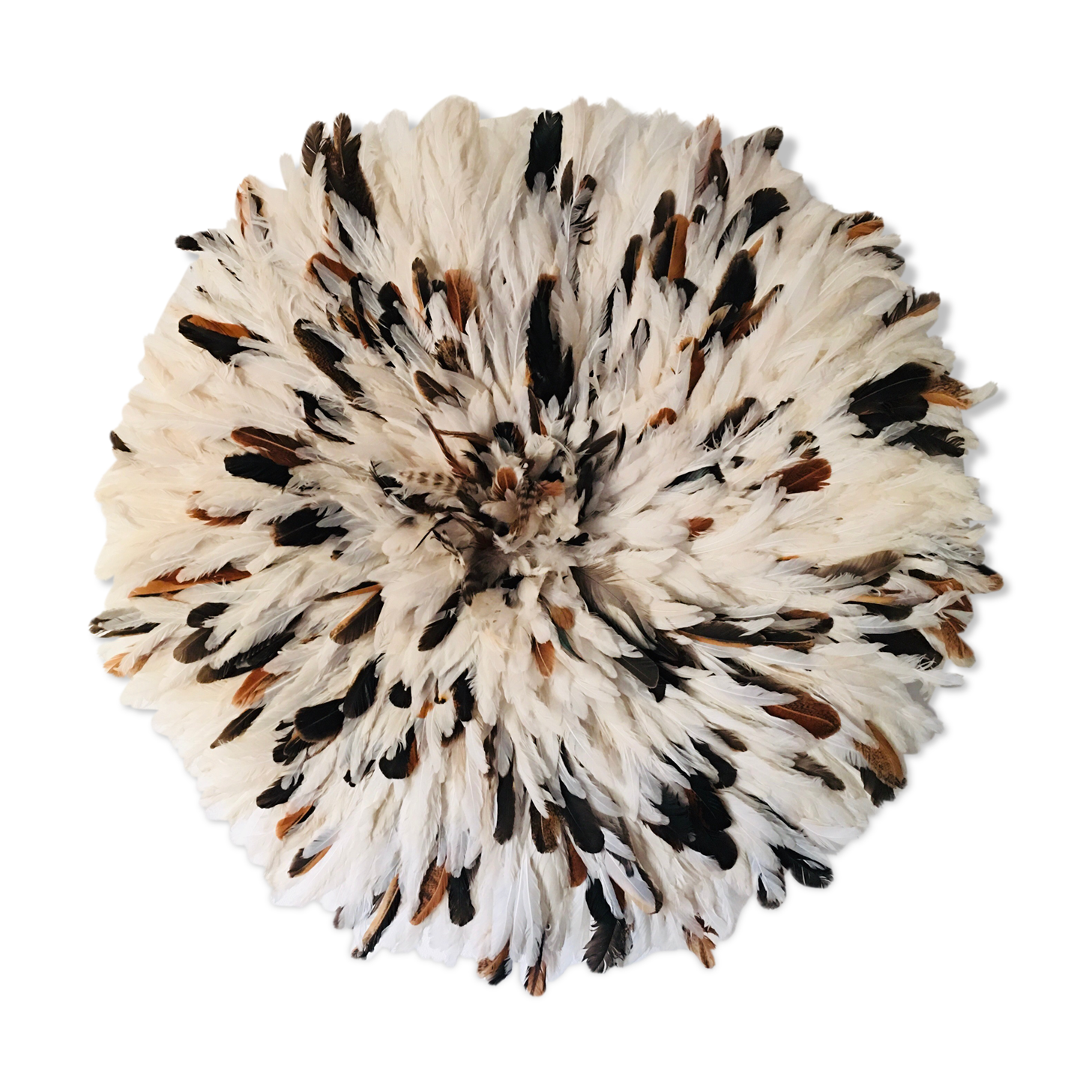 Speckled white jujuhat 65 cm