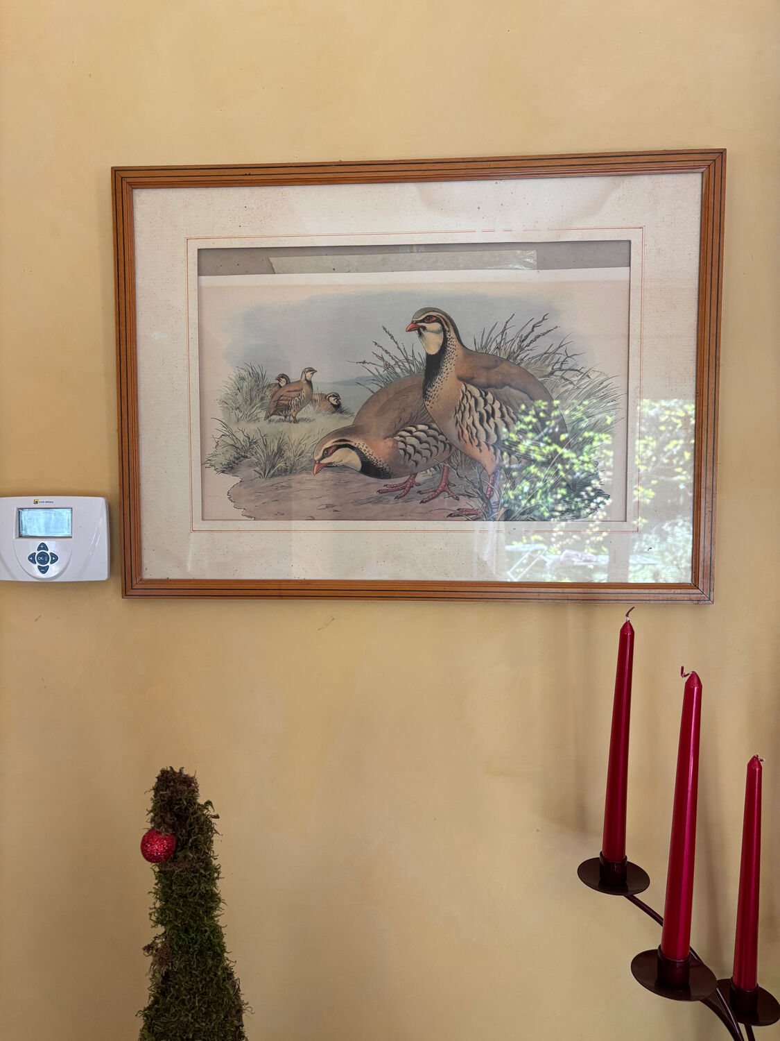 3 prints of ducks and partridges