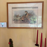 3 prints of ducks and partridges