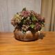 Vintage ceramic flower holder cushion