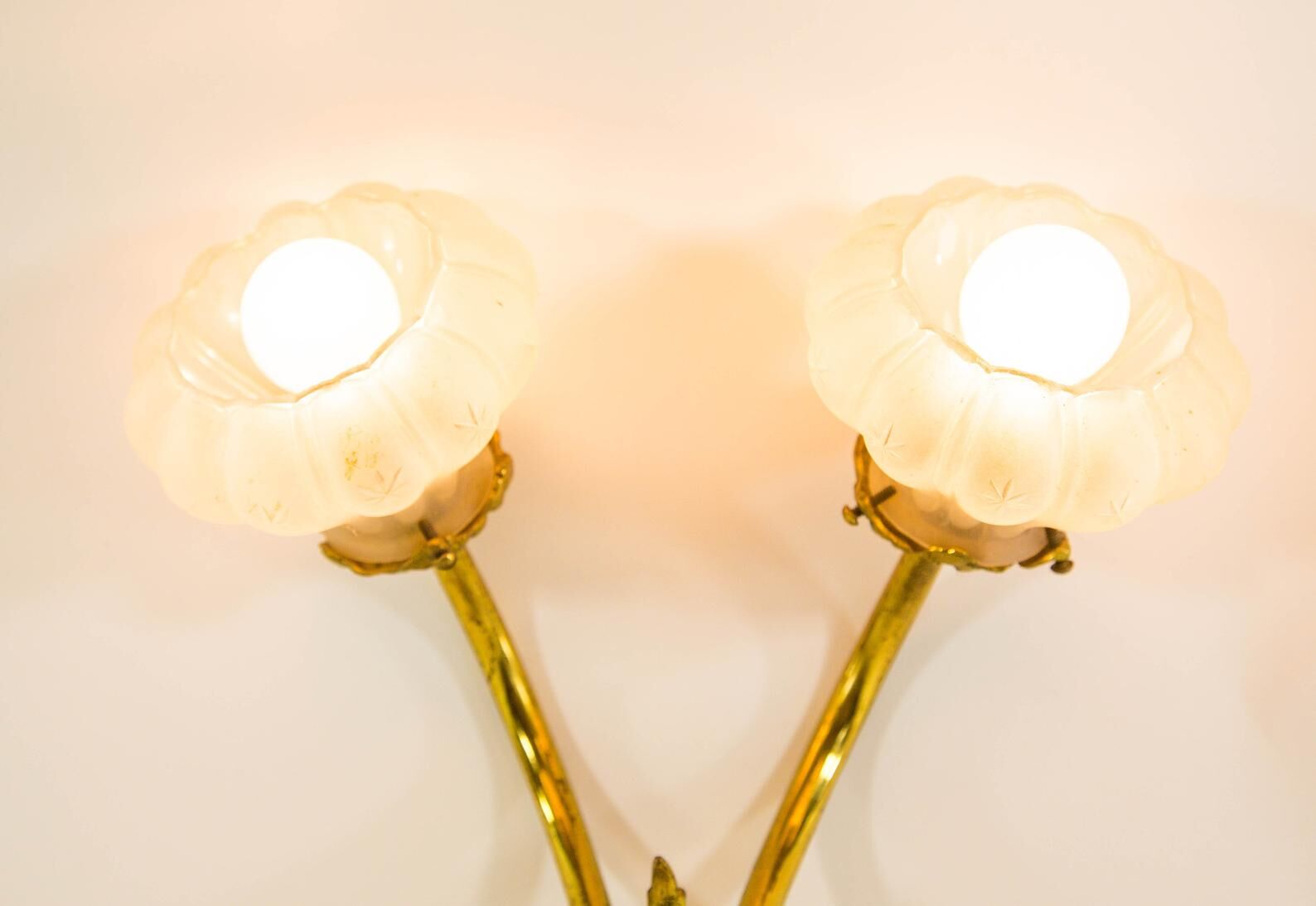 Victorian period brass floral wall