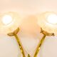 Victorian period brass floral wall