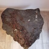 Fossilized coffee table