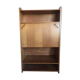 Vintage storage cabinet