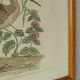 Tableau vintage aquarelle canards de terronblan monbaly dayelle