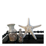 Great starfish Rhino