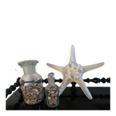 Great starfish Rhino