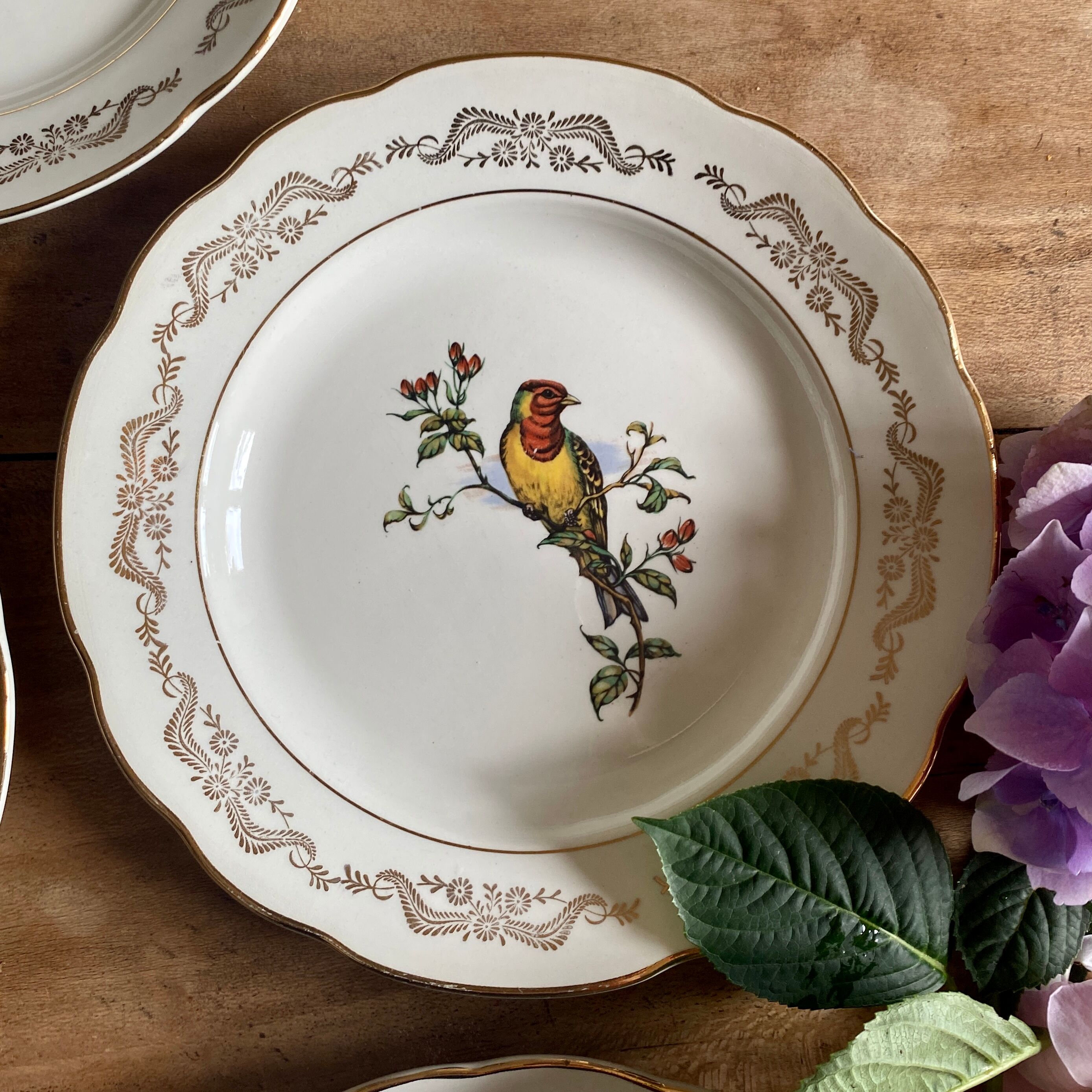 Set of 6 flat plates vintage model Moineaux de Paris de Gien