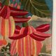 Alain Lefoll canvas tapestry