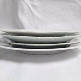 Porcelain dinner plates