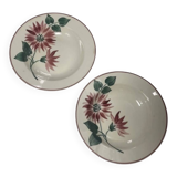 Floral deep plates hbcm