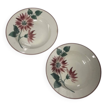 Assiettes creuses florale hbcm