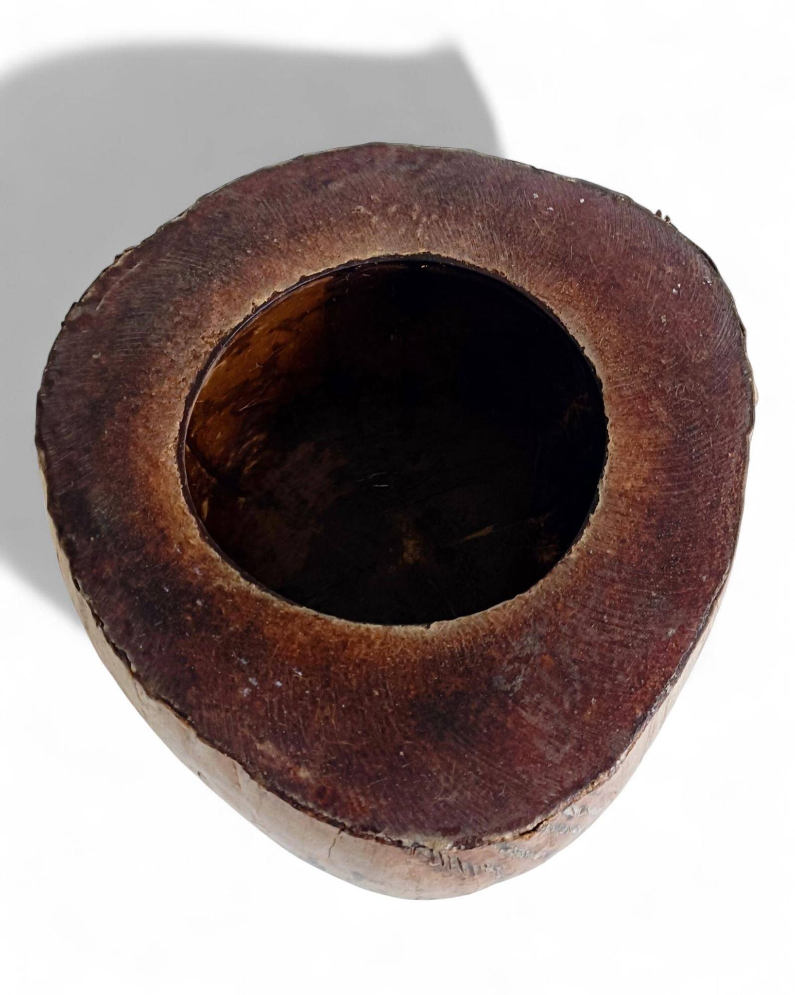 Centre de table Wabi Sabi moderne organique Coco de Mer, sculpté à la main, 19e siècle.
