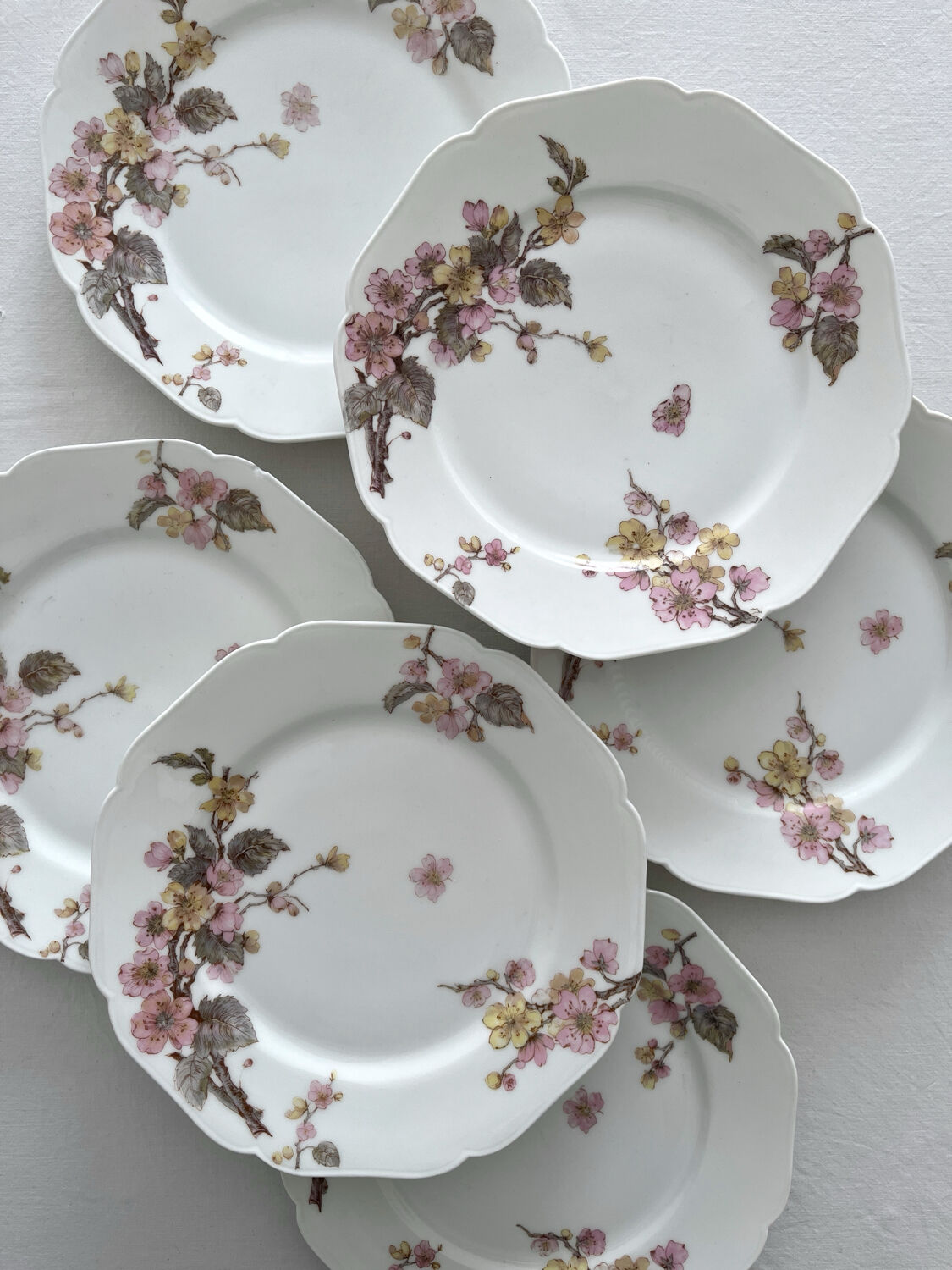 6 antique dessert plates in Limoges porcelain by Haviland & Co.