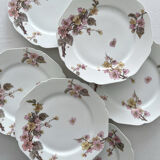 6 antique dessert plates in Limoges porcelain by Haviland & Co.