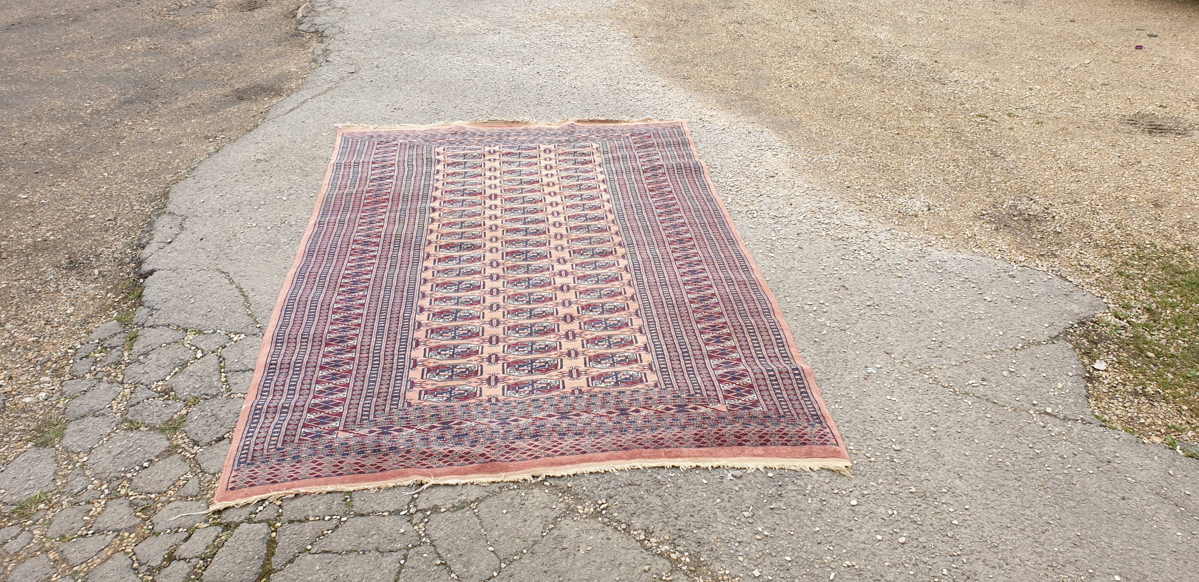 Oriental carpet wool of oneself