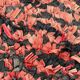 Colorful Boucherouite Moroccan rug - 64 x 119 cm