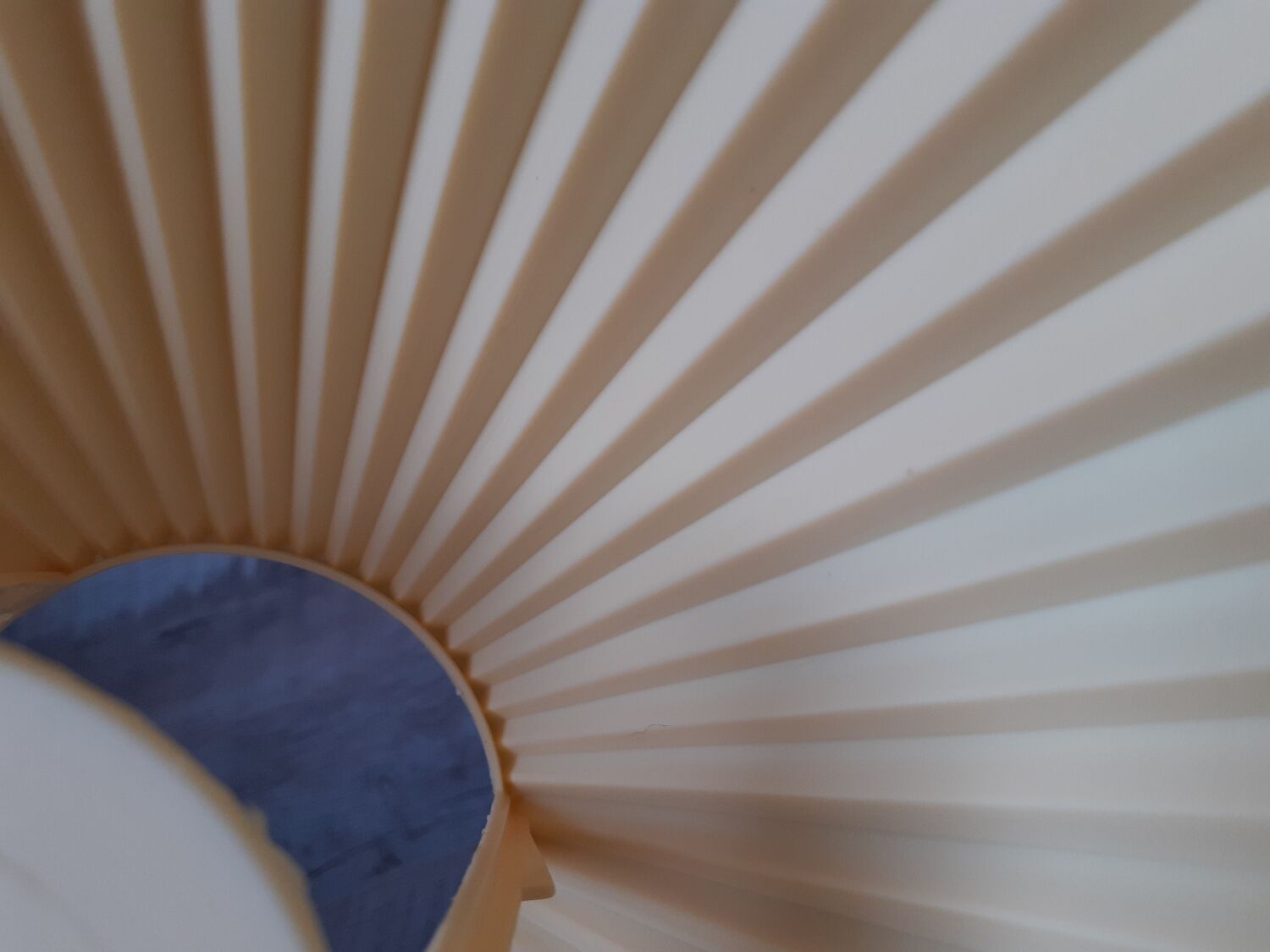 Vintage lamp flower marguerite