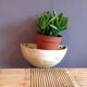 Porte-plantes en poterie