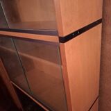 ARP Minvielle book display case