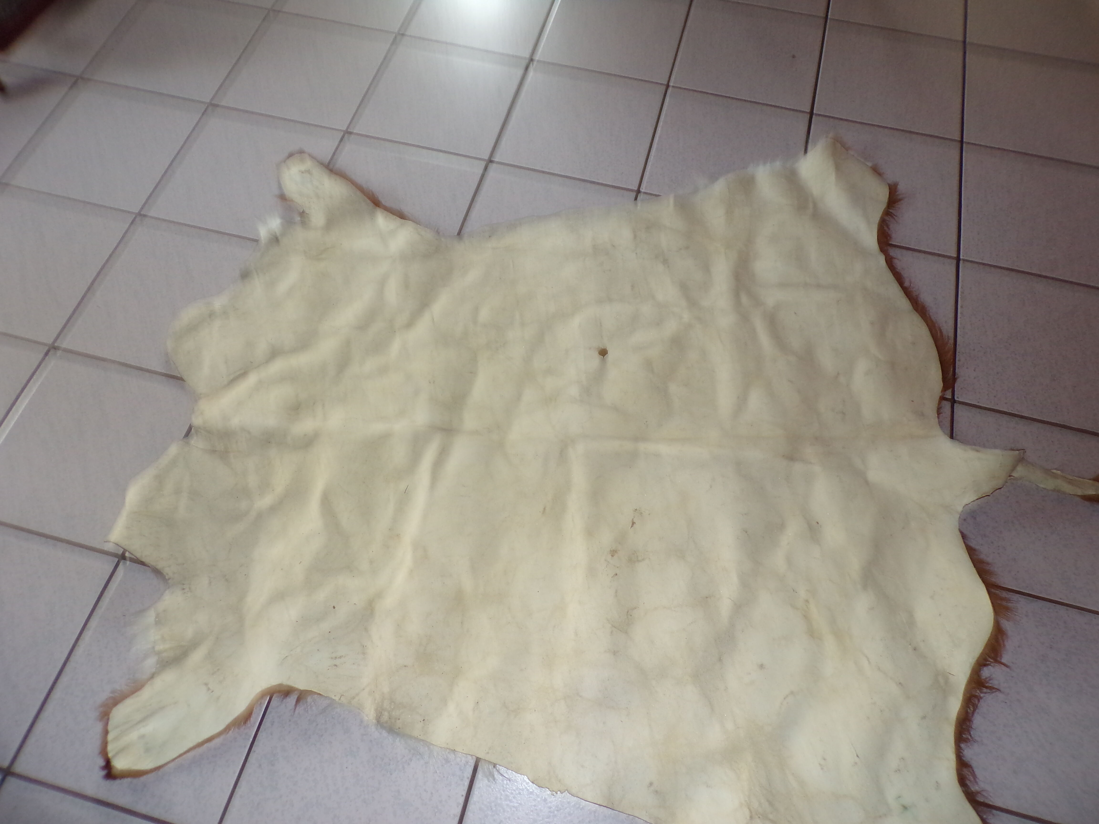 Tanned calf skin 130x100cm