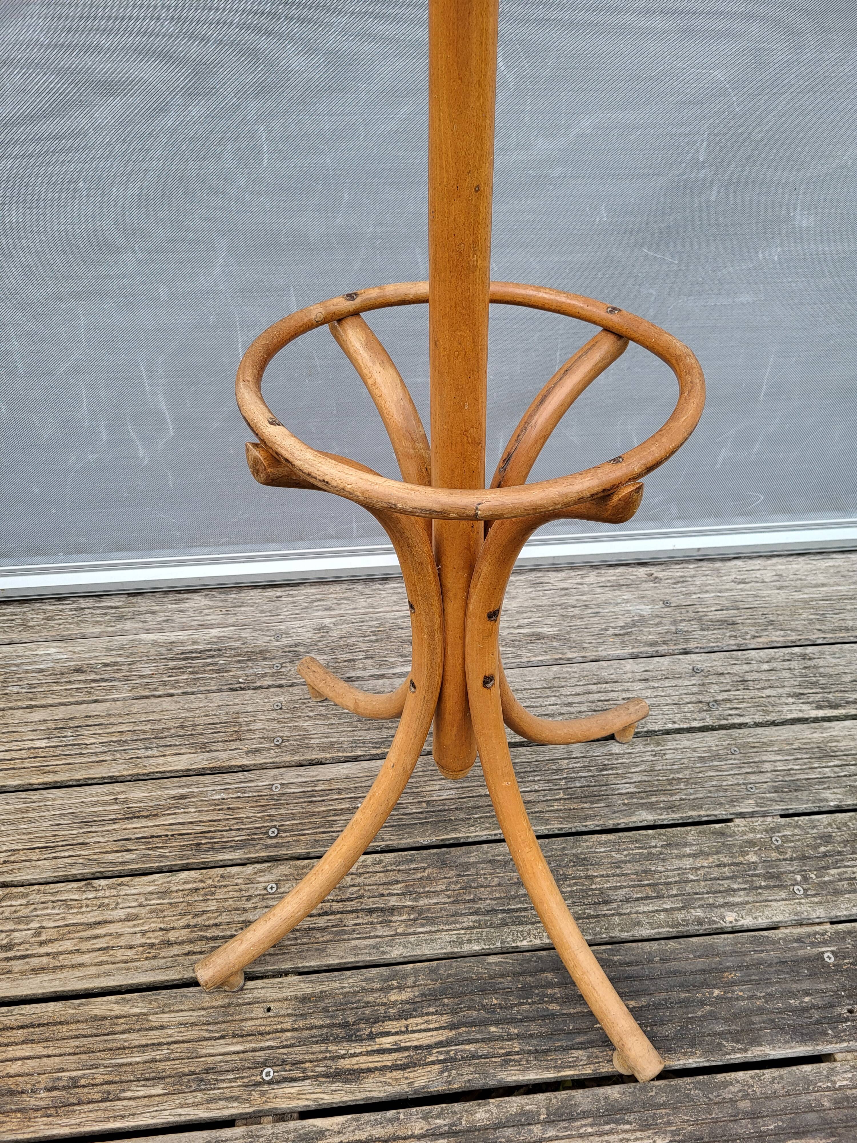 Parrot curved wood coat rack