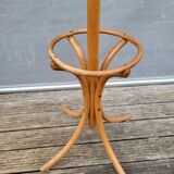 Parrot curved wood coat rack